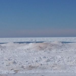 Meet your Posher, Marty